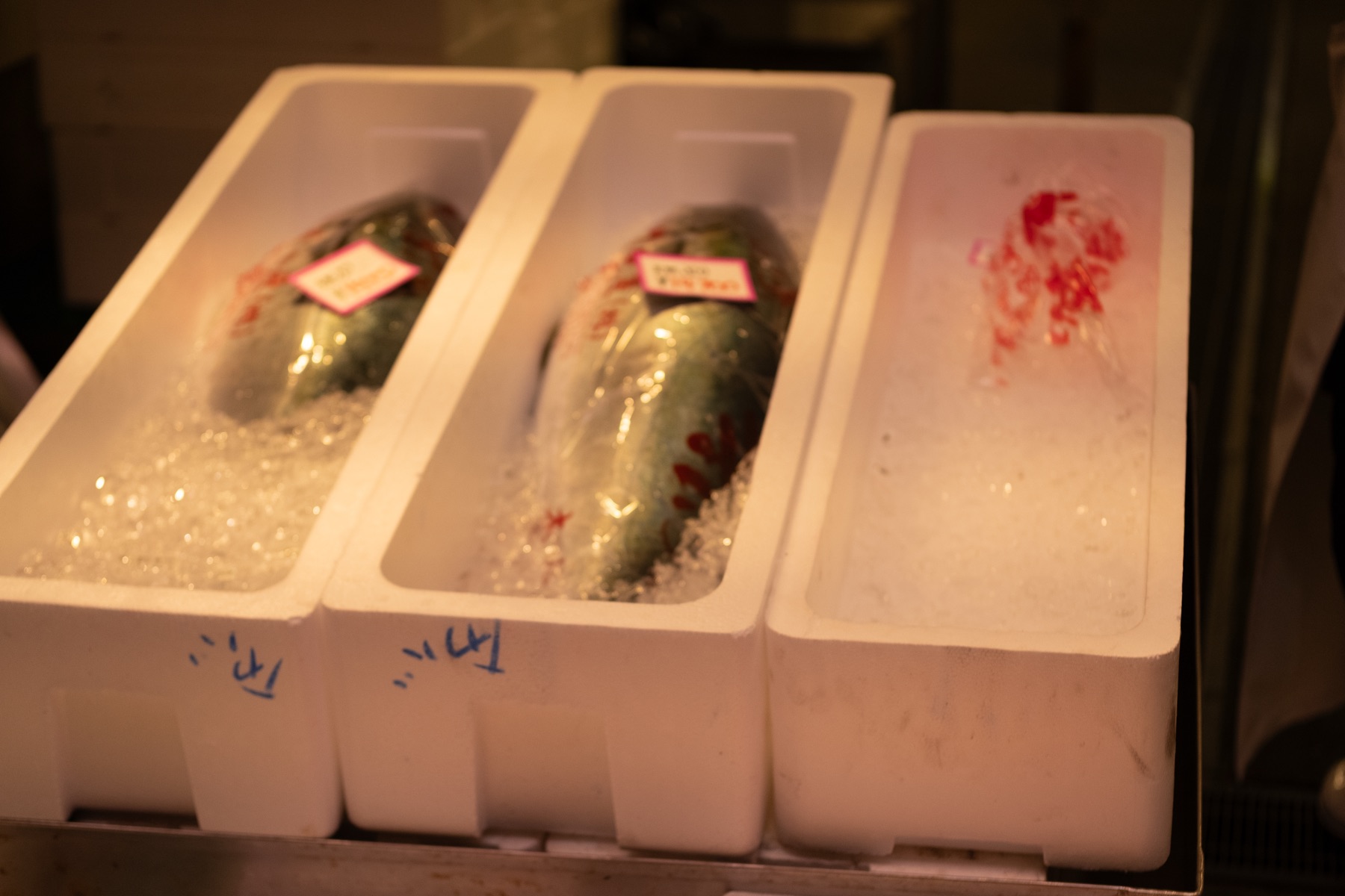 Kanazawa photograph 4