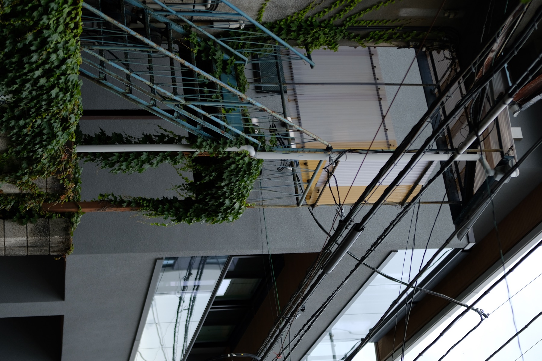 Tokyo photograph 7