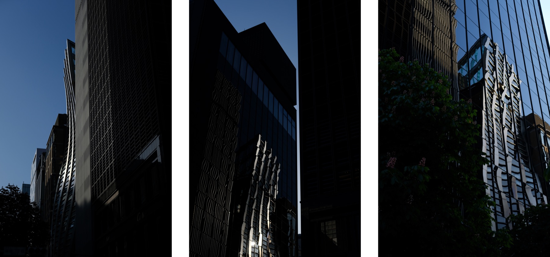 Tokyo photograph 11